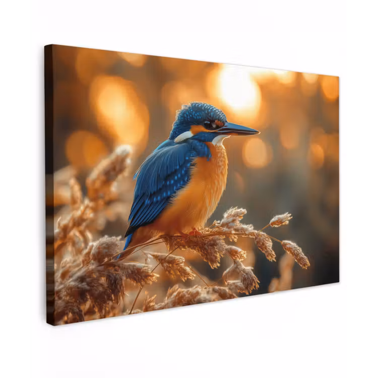 Buiten canvas - IJsvogel - Herfst - Vogels - Zon - Natuur - Herfsttakken — 1