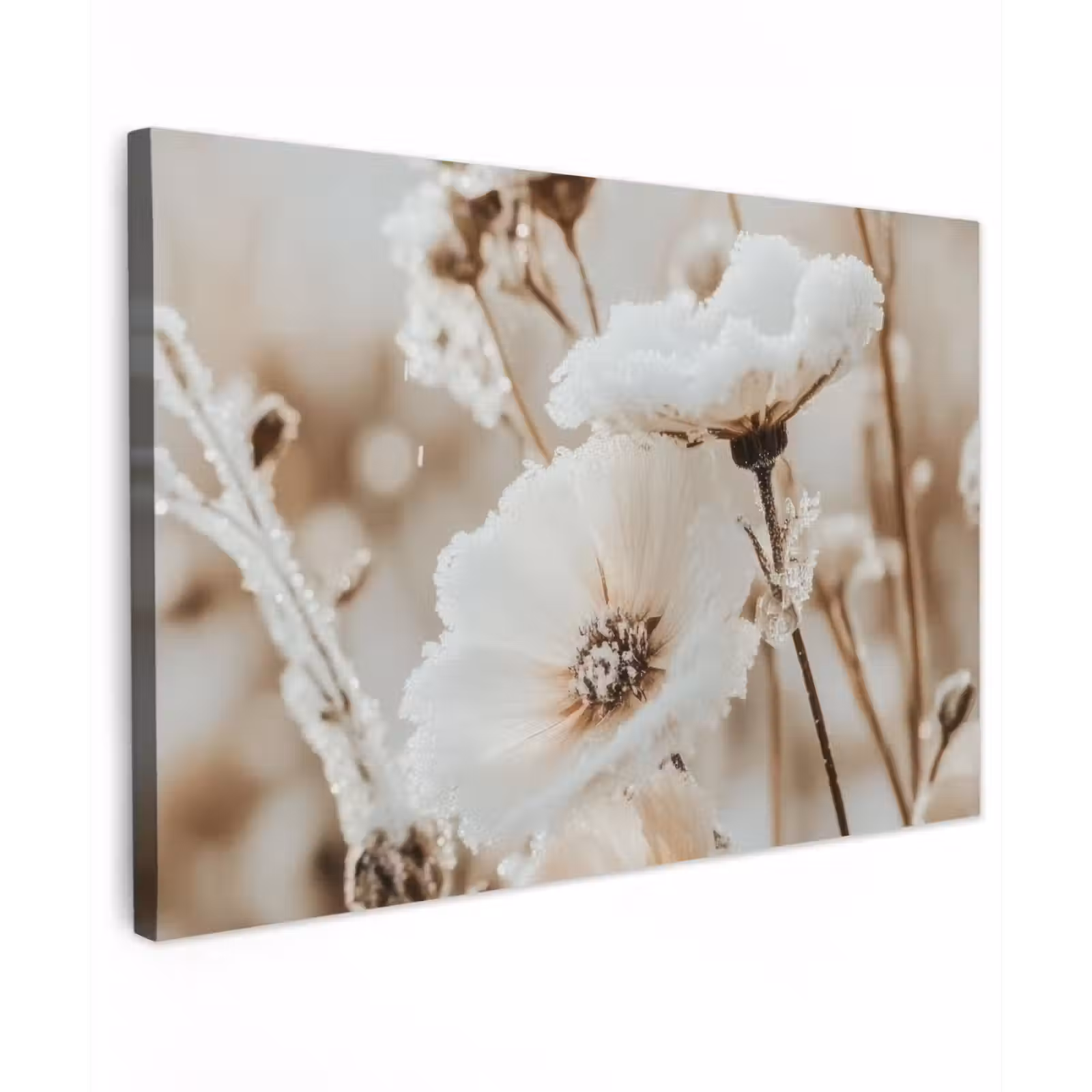 Buiten canvas - Bloemen - Winter - Wit - Sneeuw - Beige — 1