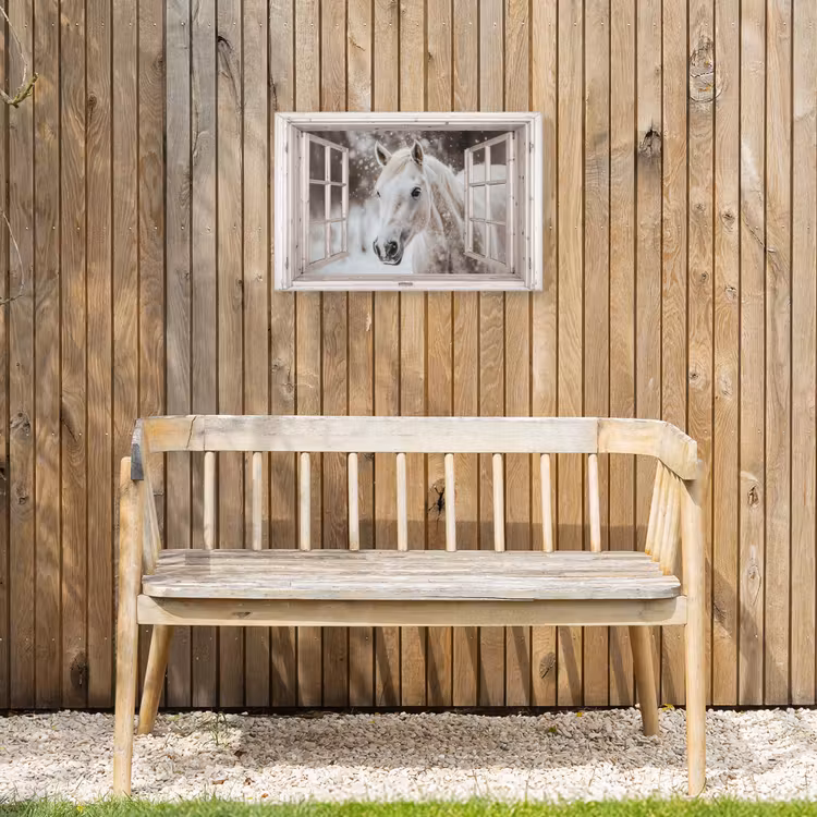 Buiten canvas - Paard - Wit - Winter - Sneeuw - Doorkijk - Dieren — 3