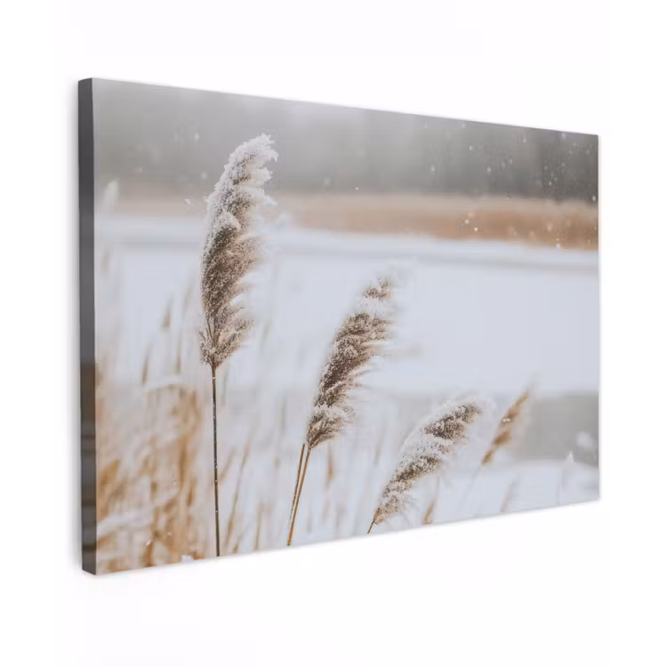 Buiten canvas - Riet - Meer - Winter - Natuur - Sneeuw - Beige — 1