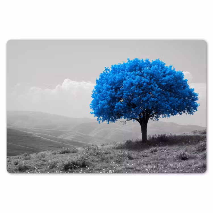 Placemat - 6 stuks - Boom - Natuur - Blauw - Zwart wit — 7