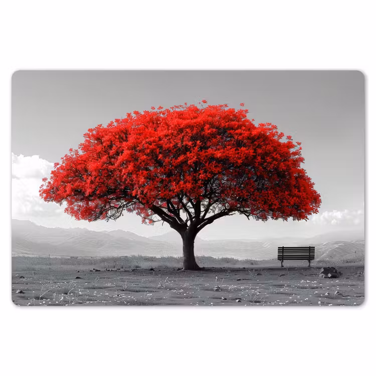 Placemat - 6 stuks - Boom - Rood - Natuur - Zwart wit — 7