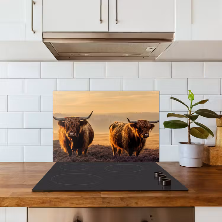 Spatscherm keuken - Schotse hooglanders - Heide - Landschap - Dieren — 5