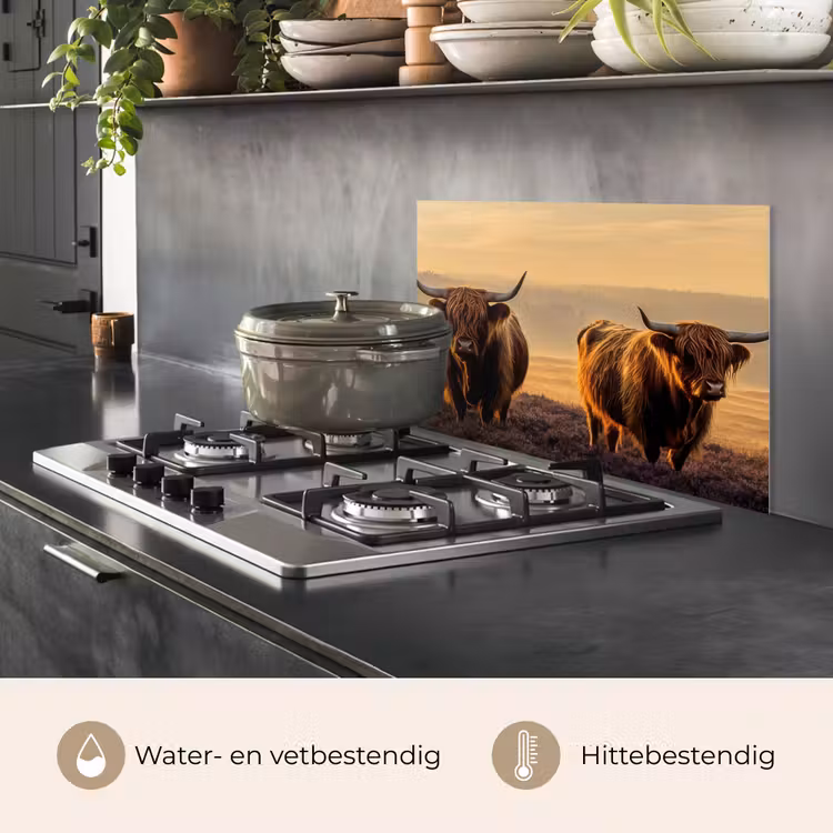 Spatscherm keuken - Schotse hooglanders - Heide - Landschap - Dieren — 6