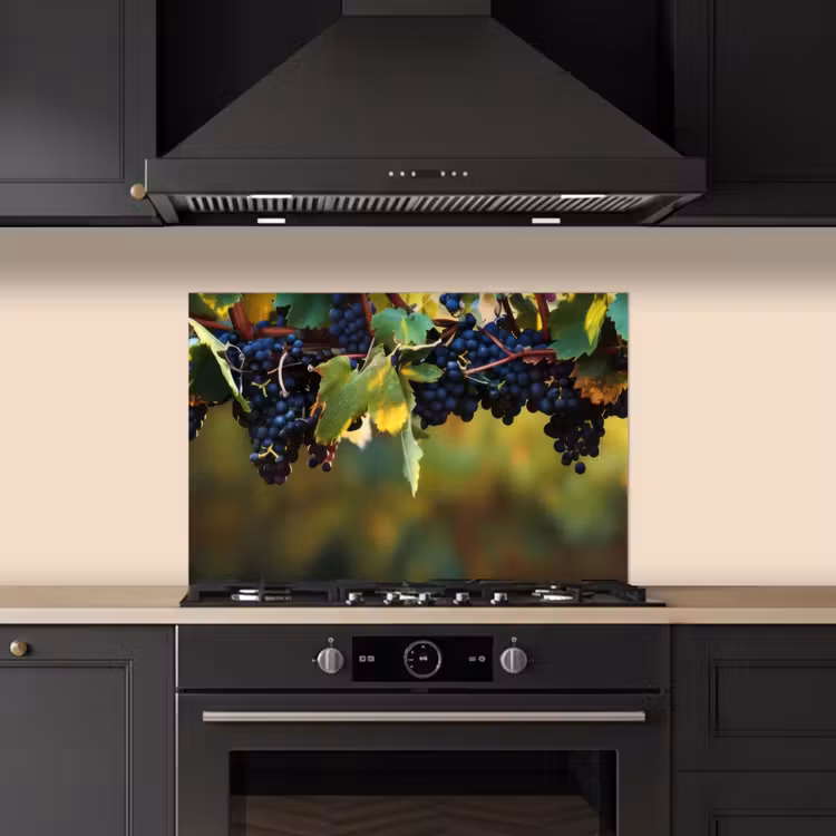 Spatscherm keuken - Druiven - Wijn - Natuur - Groen — 1