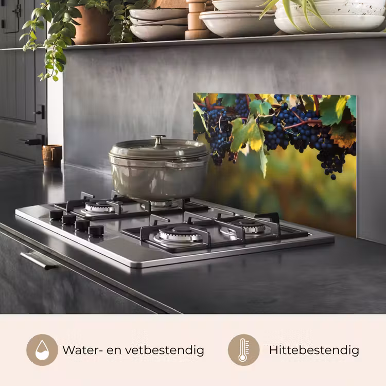Spatscherm keuken - Druiven - Wijn - Natuur - Groen — 6