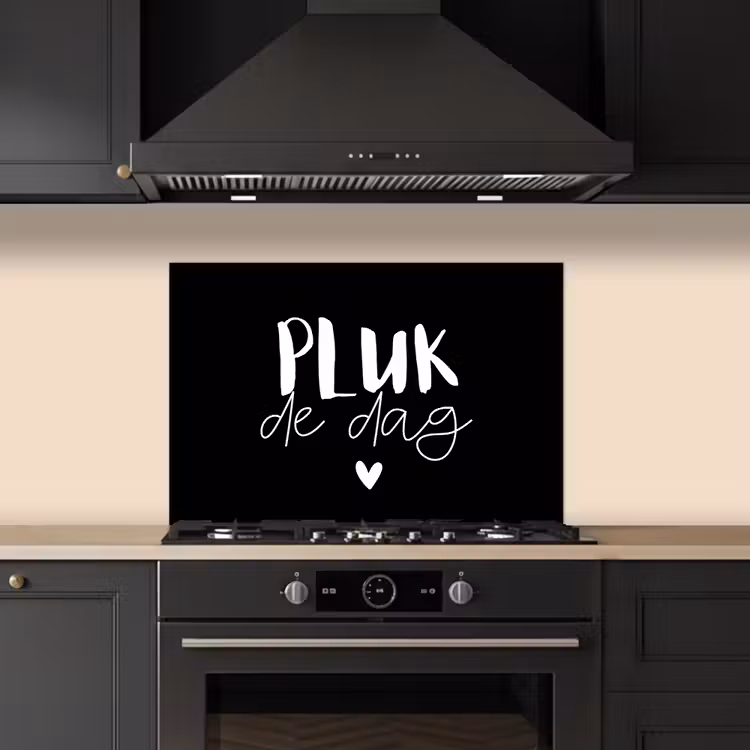 Spatscherm keuken - Quotes - Pluk de dag - Spreuken - Carpe diem - Geluk — 2