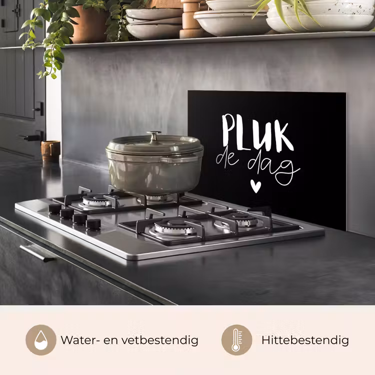 Spatscherm keuken - Quotes - Pluk de dag - Spreuken - Carpe diem - Geluk — 7