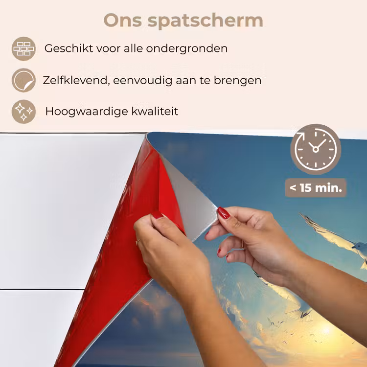 Spatscherm keuken - Meeuwen - Zee - Wolken -Blauw — 4