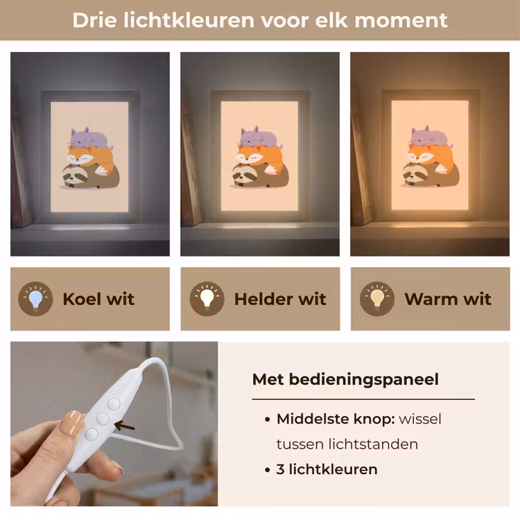Nachtlampje - Luiaard Vos Kat Slapend — 7