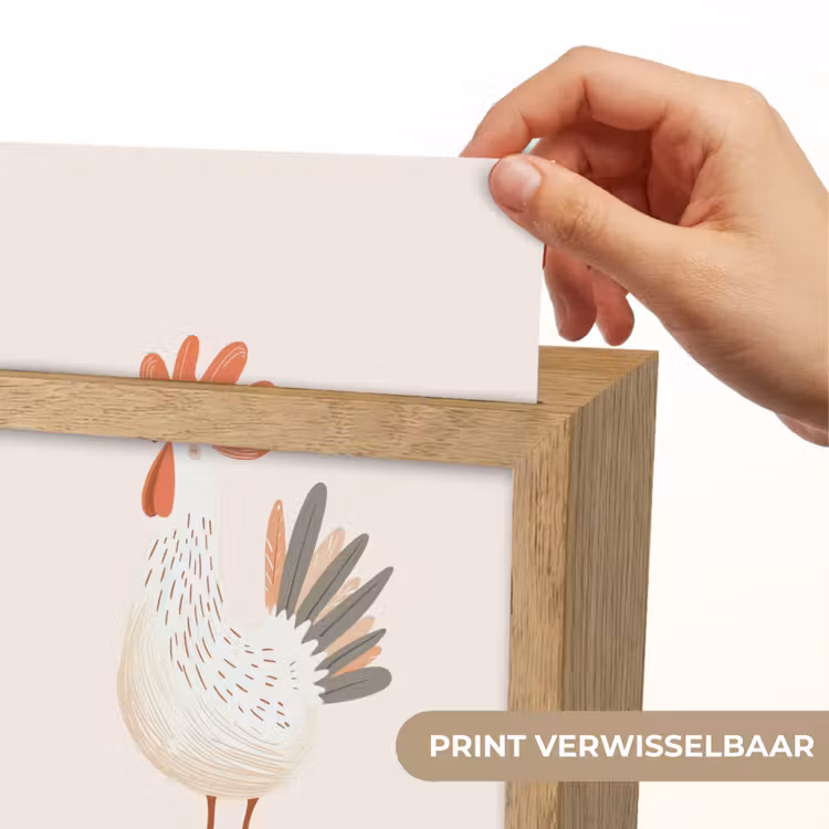 Nachtlampje - Kip - Boerderij - Dieren — 4