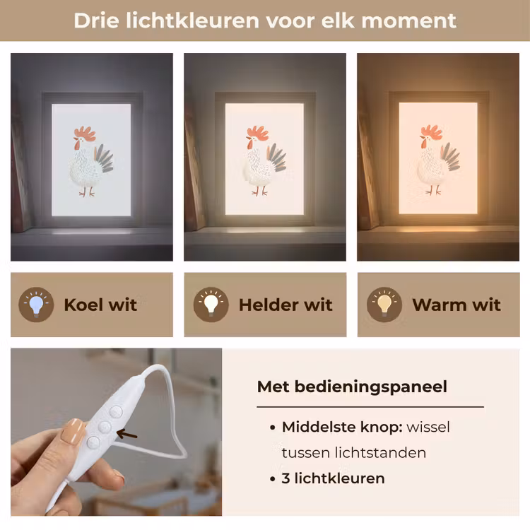 Nachtlampje - Kip - Boerderij - Dieren — 7