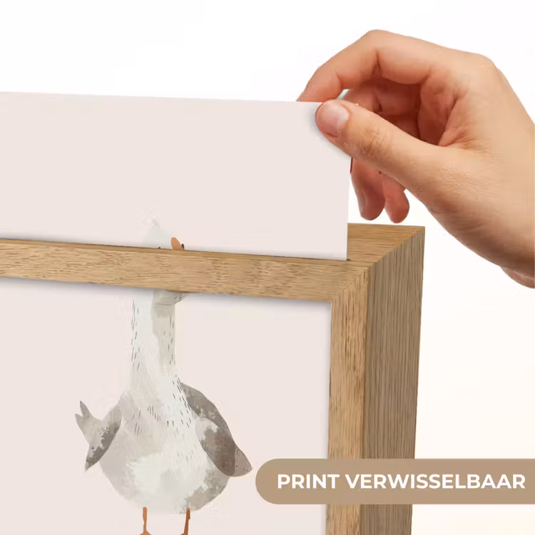 Nachtlampje - Gans - Eend - Boerderij - Dieren — 4