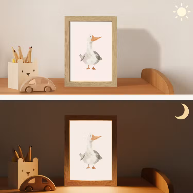 Nachtlampje - Gans - Eend - Boerderij - Dieren — 5
