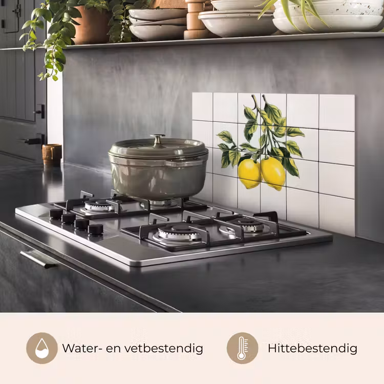 Spatscherm keuken - Citroen - Decoratie - Keramiek - Takken — 7