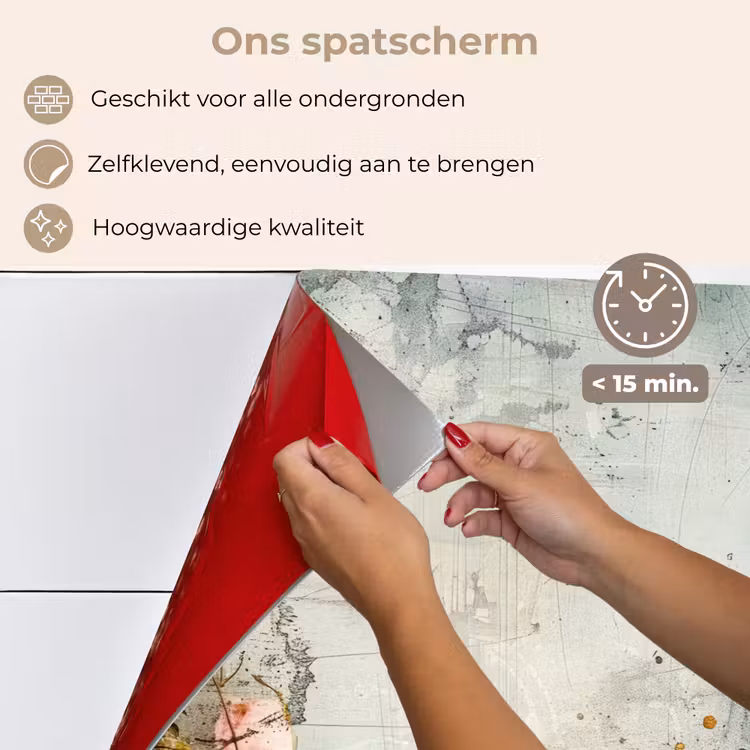 Spatscherm keuken - Bloemen - Beton - Grijs - Natuur — 4