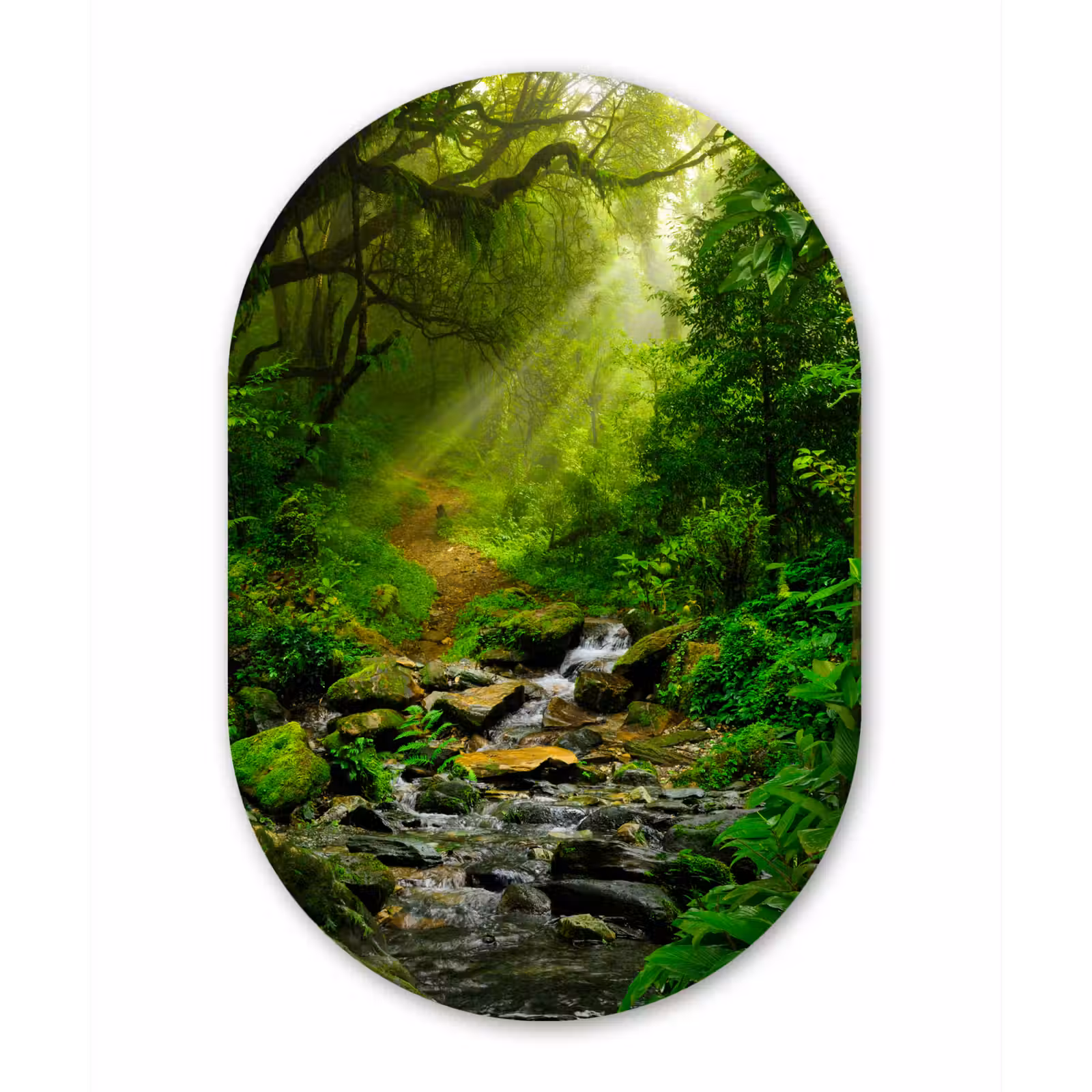 Muurovaal - Jungle - Water - Bladeren - Zon - Natuur — 1