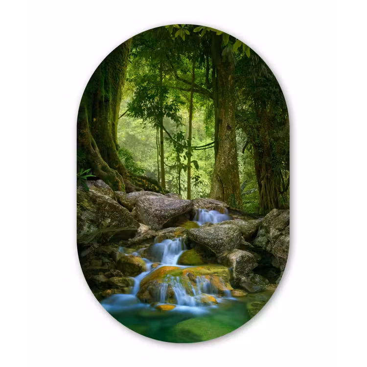 Muurovaal - Jungle - Stenen - Water - Natuur - Planten — 2