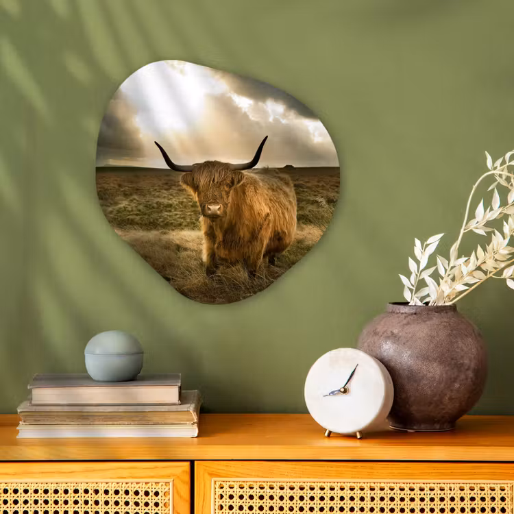 Organische Formen – Aluminium – Schotse Hooglander - Zon - Dieren — 2