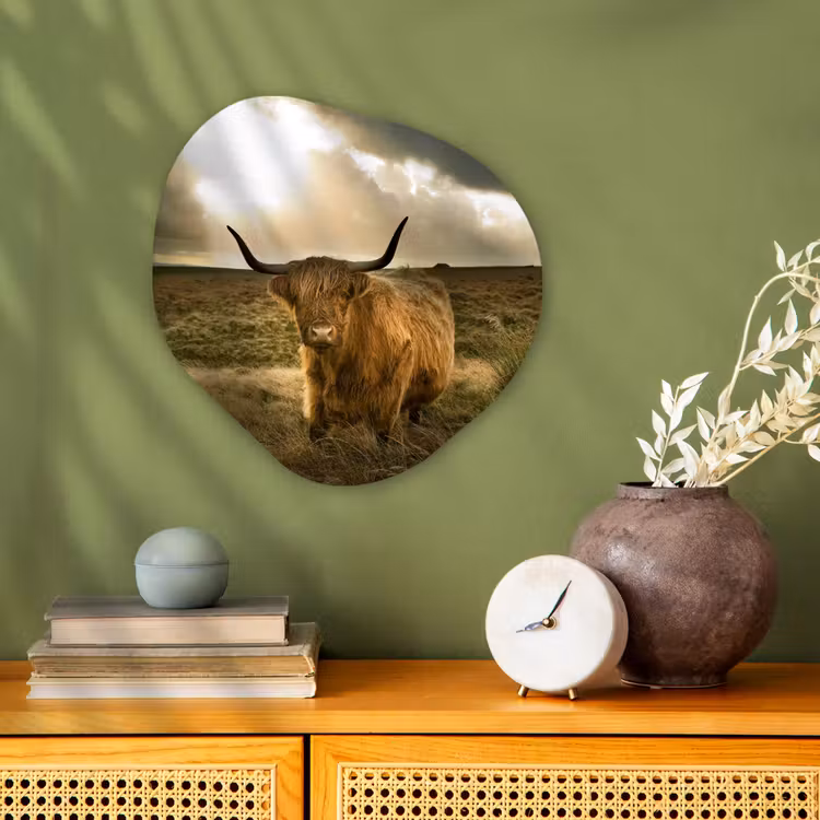 Organische Formen – Aluminium – Schotse hooglander - Zon - Gras — 2