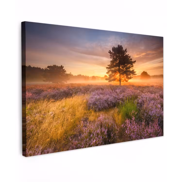 Canvas schilderij - Heidelandschap met een boom — 1