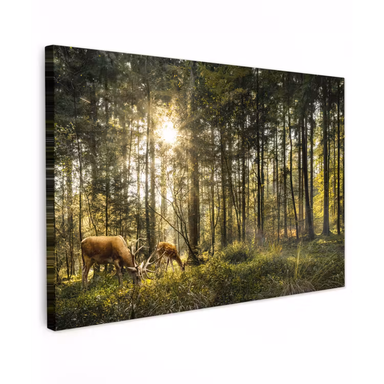 Canvas schilderij - Hert - Natuur - Bos — 1