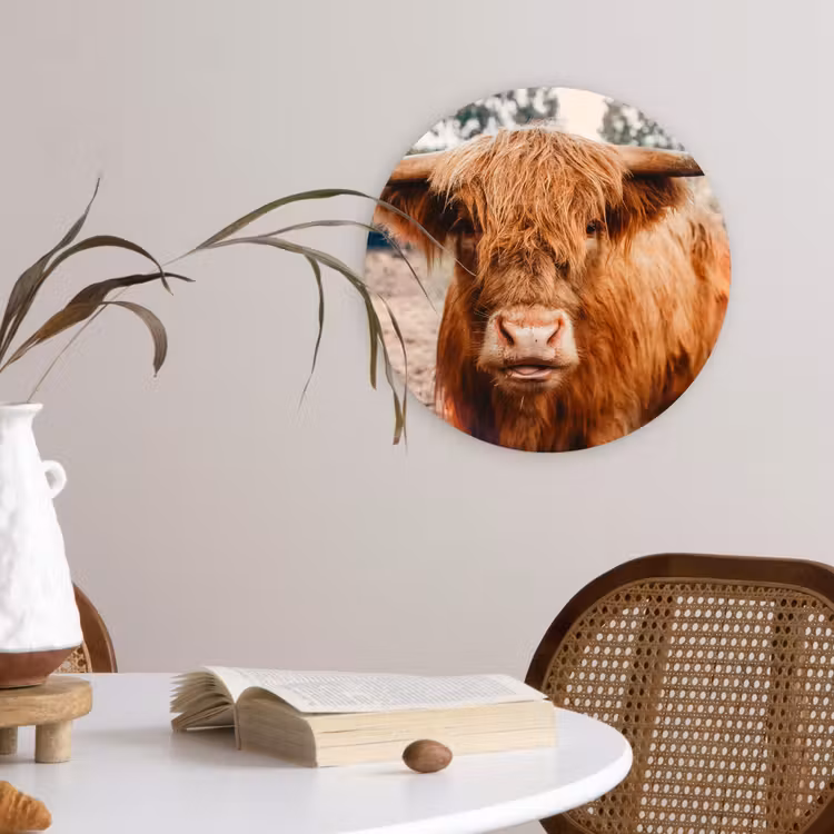 Muurcirkel - Koe- Schotse hooglander - Hoorns - Bruin - Landschap — 4