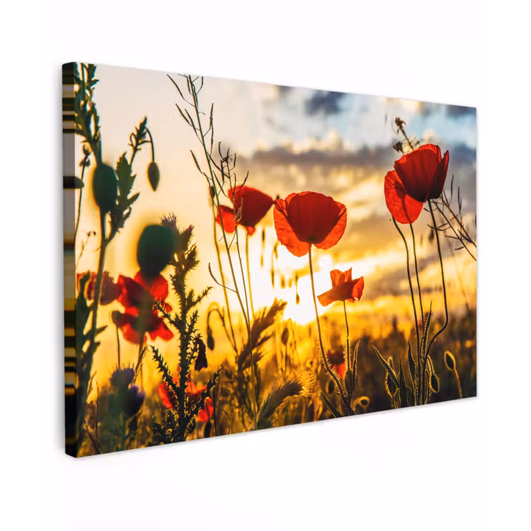 Canvas schilderij - Rode papavers bij een zonsopkomst — 1