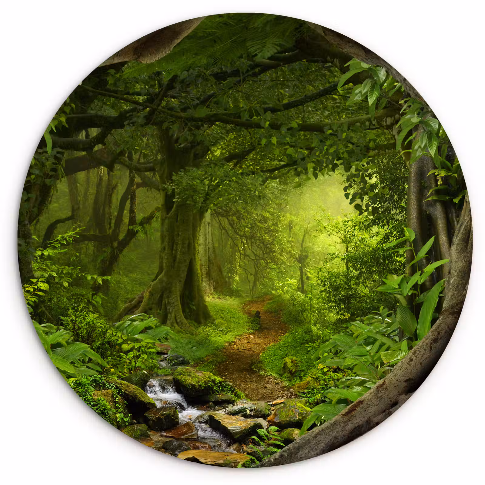 Muurcirkel - Jungle - Groen - Natuur - Tropisch - Planten — 1
