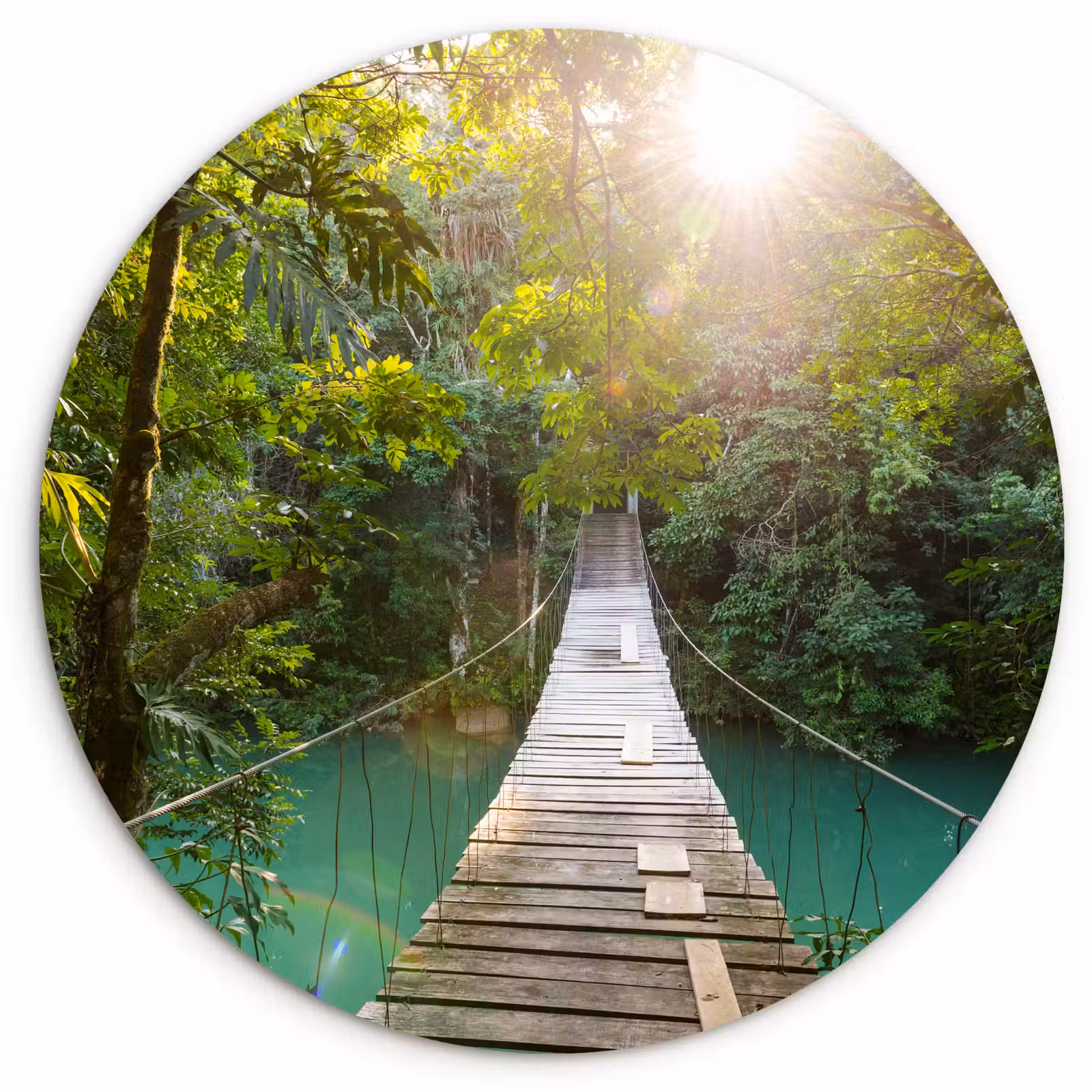 Muurcirkel - Jungle - Water - Brug - Natuur - Planten — 1