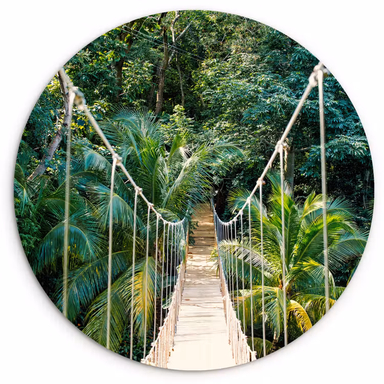 Muurcirkel - Jungle - Palmboom - Brug - Natuur - Planten — 1