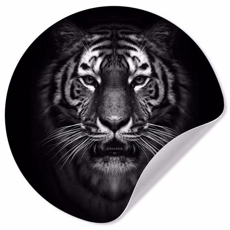 Behangcirkel - Tijger - Dieren - Zwart - Wit - Portret - Wild — 1