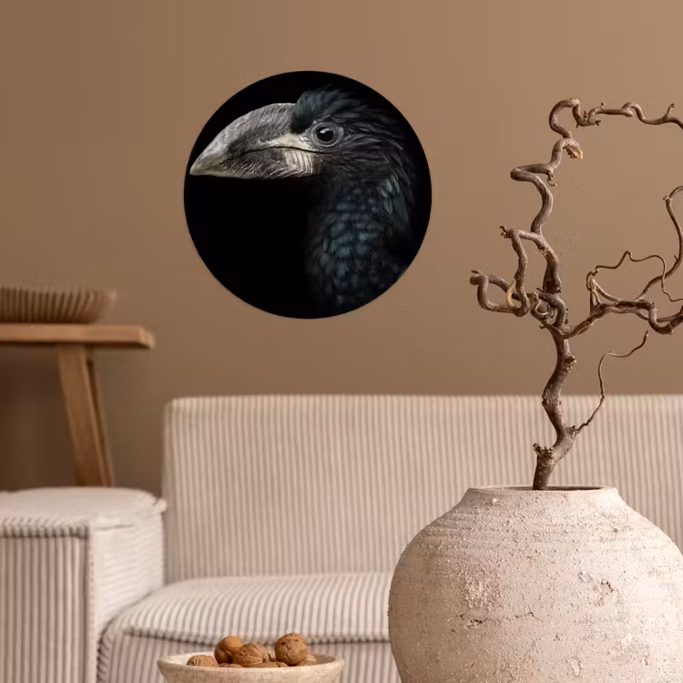 Behangcirkel - Vogel - Portret - Neushoornvogel - Zwart - Dieren — 2