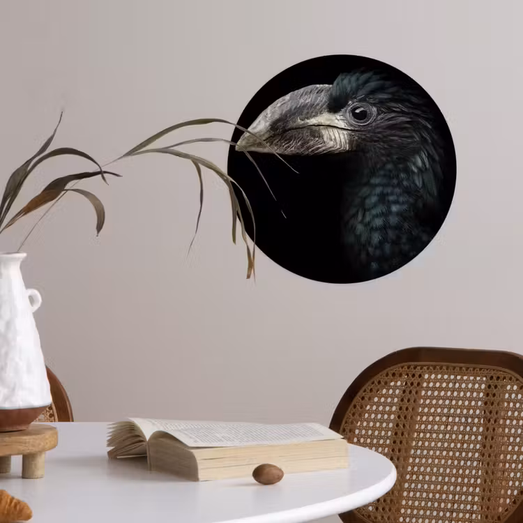 Behangcirkel - Vogel - Portret - Neushoornvogel - Zwart - Dieren — 4