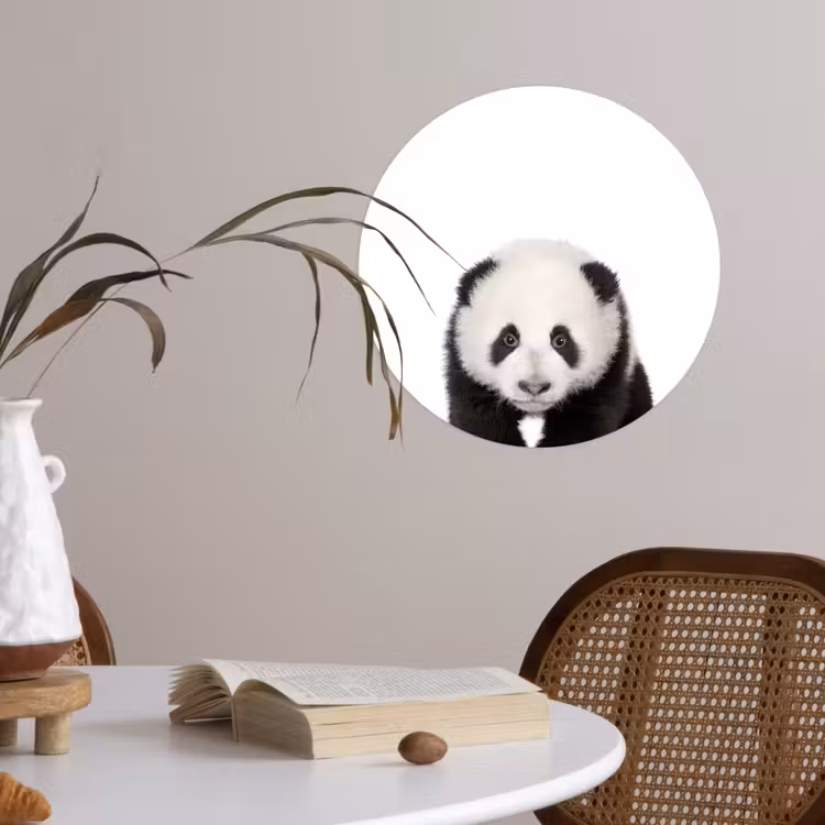 Behangcirkel - Dieren - Kinderen - Panda - Meisjes - Jongens — 4