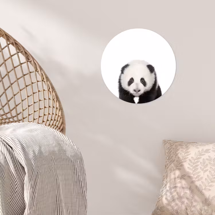 Behangcirkel - Dieren - Kinderen - Panda - Meisjes - Jongens — 5
