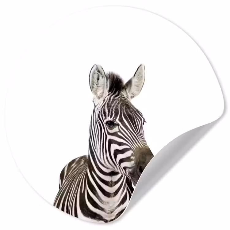Behangcirkel - Dieren - Zebra - Kinderen - Wit - Portret- Meisjes — 1