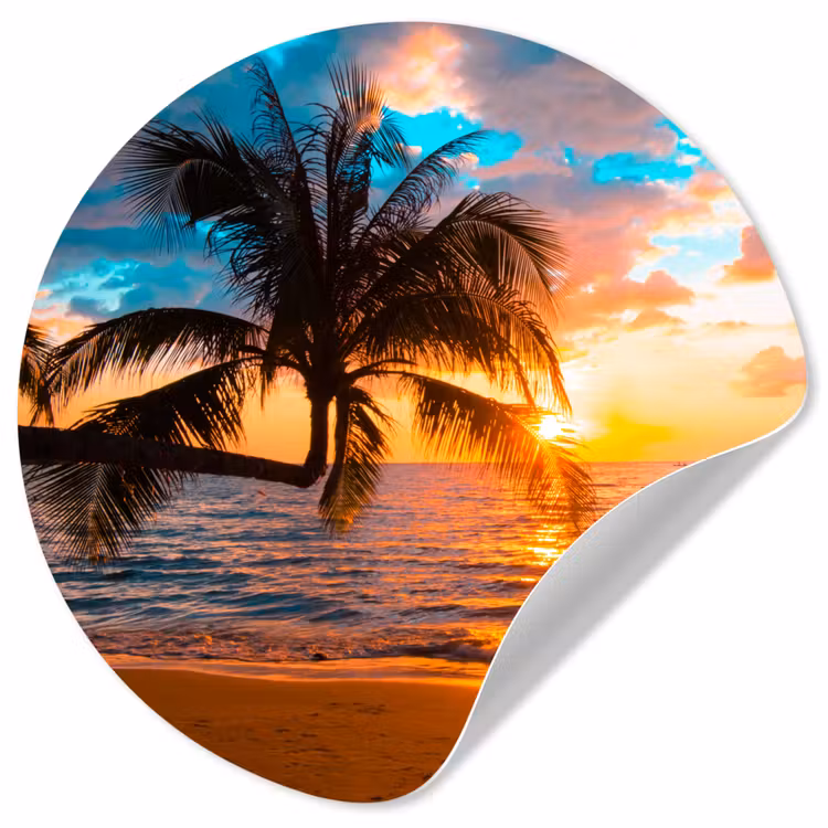 Behangcirkel - Palme - Sonnenuntergang - Horizont - Strand - Meer - Tropisch — 1