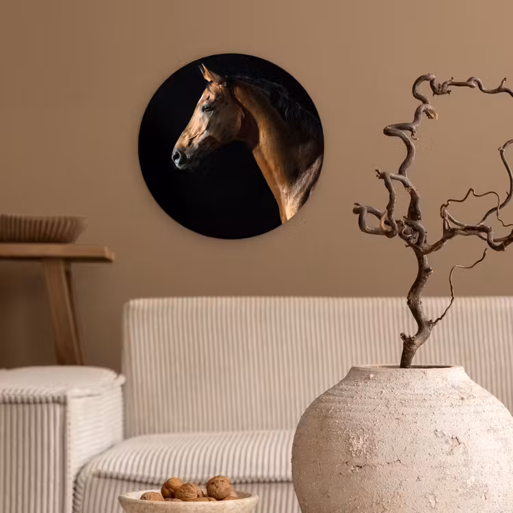 Muurcirkel - Paard - Dieren - Nacht - Zwart — 2