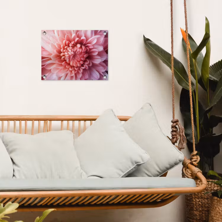 Tuinposter - Roze Dahlia Close-up — 5