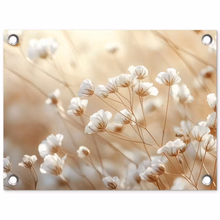 Tuinposter - Witte Bloemen Beige — 1