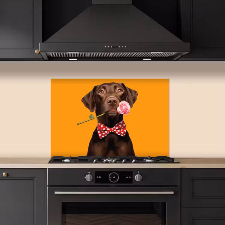 Spatscherm keuken - Hond - Oranje - Roos - Valentijn — 2