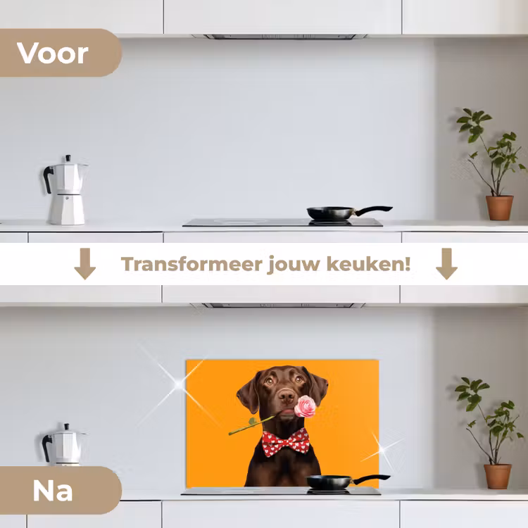 Spatscherm keuken - Hond - Oranje - Roos - Valentijn — 3