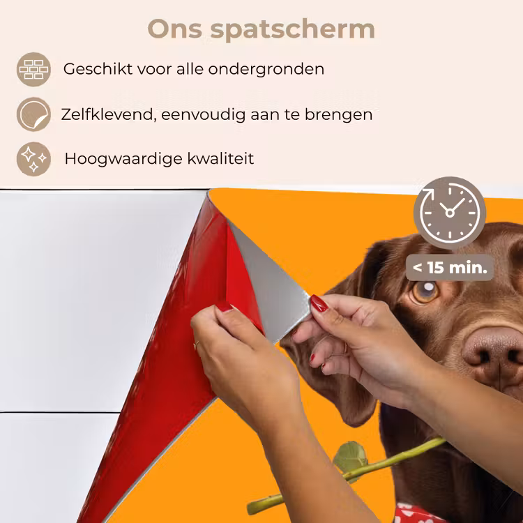 Spatscherm keuken - Hond - Oranje - Roos - Valentijn — 4