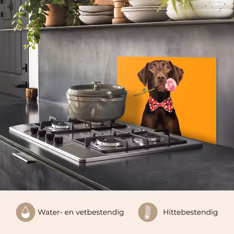 Spatscherm keuken - Hond - Oranje - Roos - Valentijn — 7