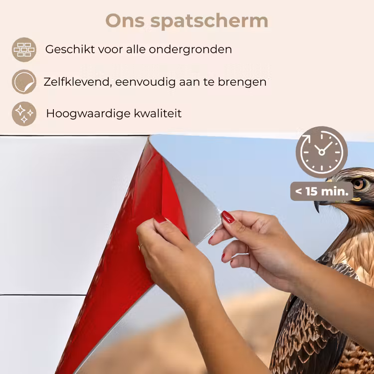 Spatscherm keuken - Valk - Vogel - Rots - Macht — 4
