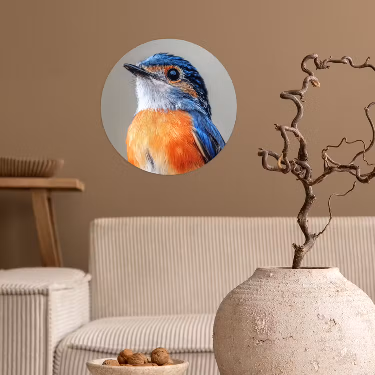 Behangcirkel - Kleurrijk - Vogeltje - Veren - Blauw — 2
