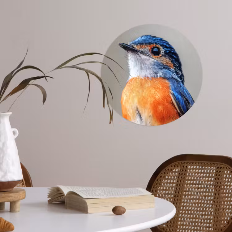 Behangcirkel - Kleurrijk - Vogeltje - Veren - Blauw — 4