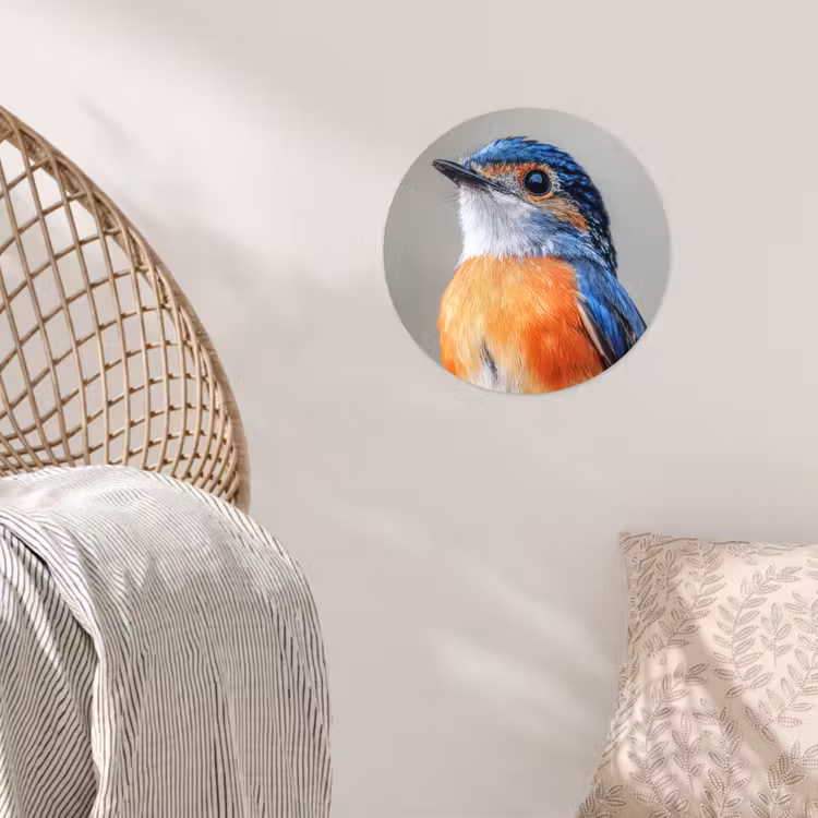 Behangcirkel - Kleurrijk - Vogeltje - Veren - Blauw — 5