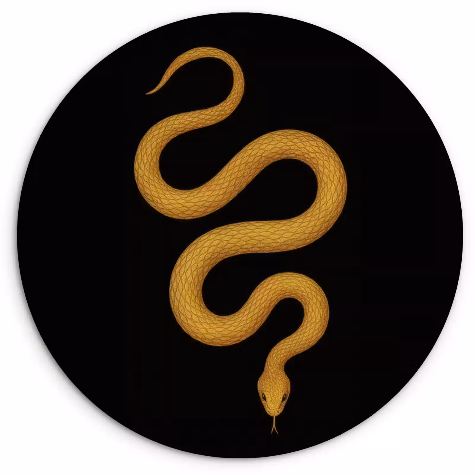 Muurcirkel - Slang - Minimalistisch - Goud — 1